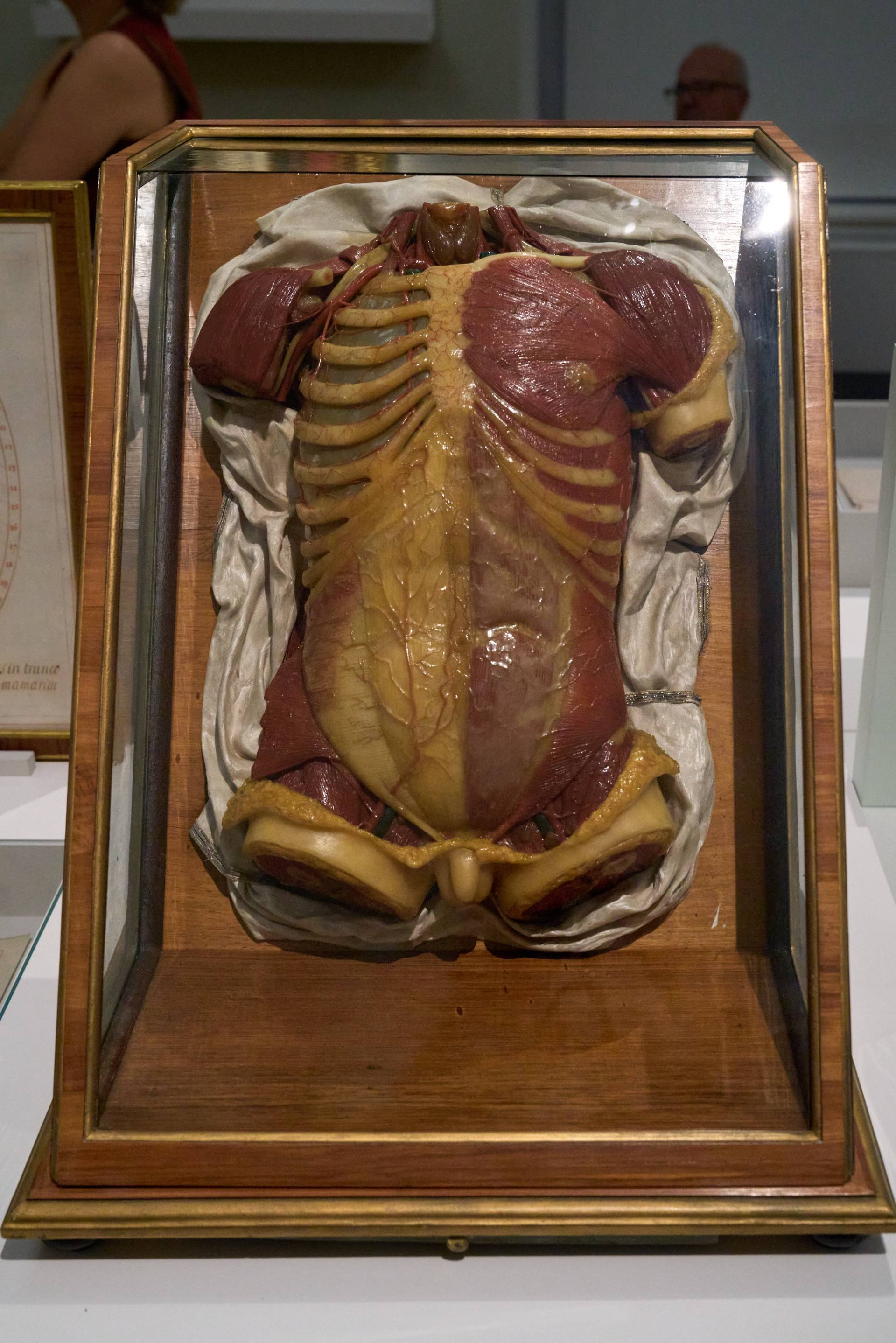 club_tirol_fuehrung_josephinum_20250922-191251